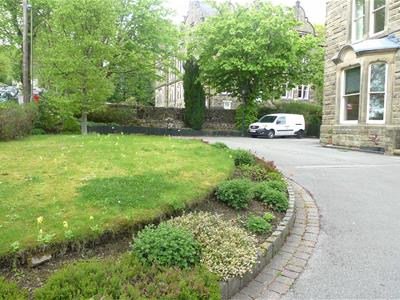 Picture 10